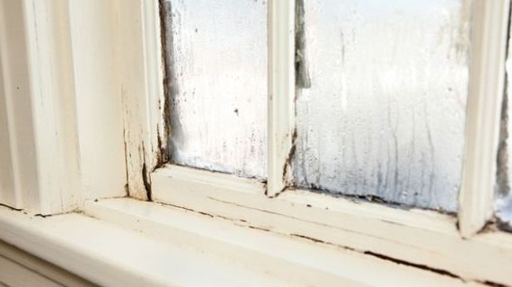 window types