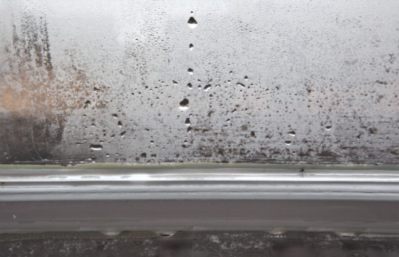 condensation on window